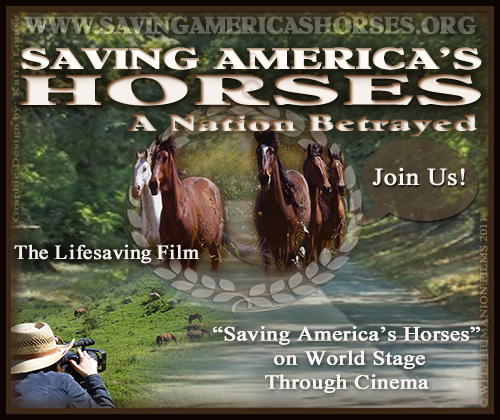 Saving America's Horses BNR
