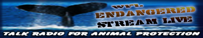 WFL Whale BNR_wide