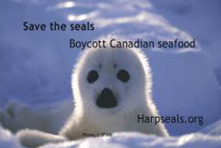 Harpseals.org