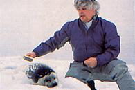 Watson brushing seal