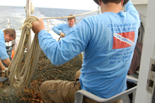 Ocean Defenders