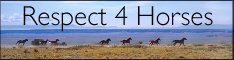 Respect for Horses