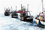 Parade of Sealers